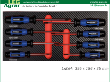 LEG--Werkstattwagen-Einlage-Schraubendreher-Innen-TX-Schrauben-5999-062