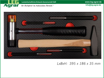 LEG-Einlage--Werkstattwagen-5999-101