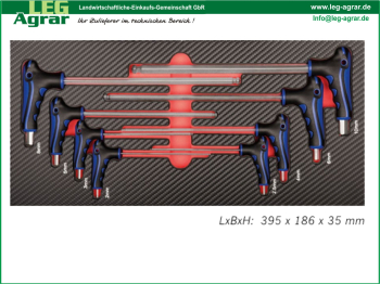 Kugelkopf T-Griff-Schraubendreher Einlage für Werkstattwagen
