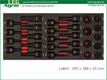 LEG-Einlage-Werkstattwagen-Schlag-Steckschlüssel-Einsätze-E-TX-Innen-TX-Innen-6kant-5999-371