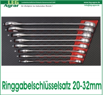 Ringgabelschlüssel 20-32mm Einlage für Werkstattwagen