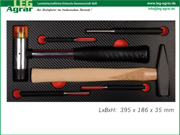 LEG-Einlage--Werkstattwagen-5999-101