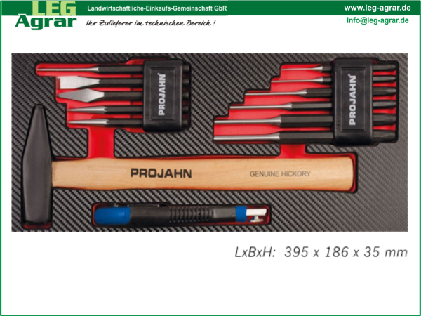 LEG-Einlage-Schlagwerkzeuge--Werkstattwagen-5999-461