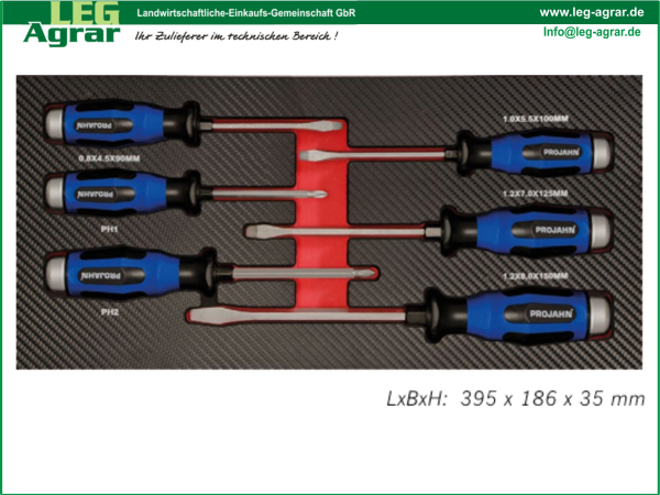 LEG-Einlage-Schraubendreher-mit-Schlagkappe-für-Kreuzschlitz-Schrauben-PH-Schlitzschrauben-Werkstattwagen-5999-061