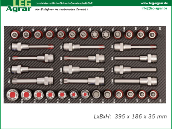 LEG-Einlage-Werkstattwagen-Steckschlüssel-Einsätze-KFZ-Spezial-5999-191