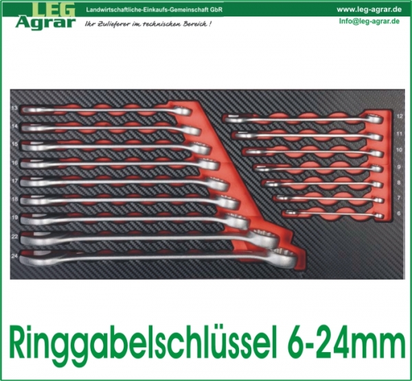 Ringgabelschlüssel 6-24mm Einlage für Werkstattwagen