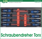 Schraubendreher Torx Einlage für Werkstattwagen